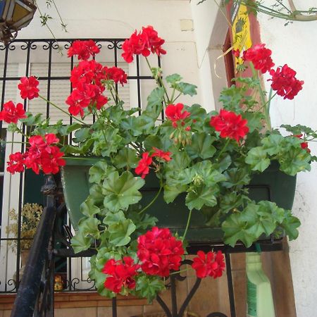 Casa Babylon Backpakers Hostel مالقة المظهر الخارجي الصورة